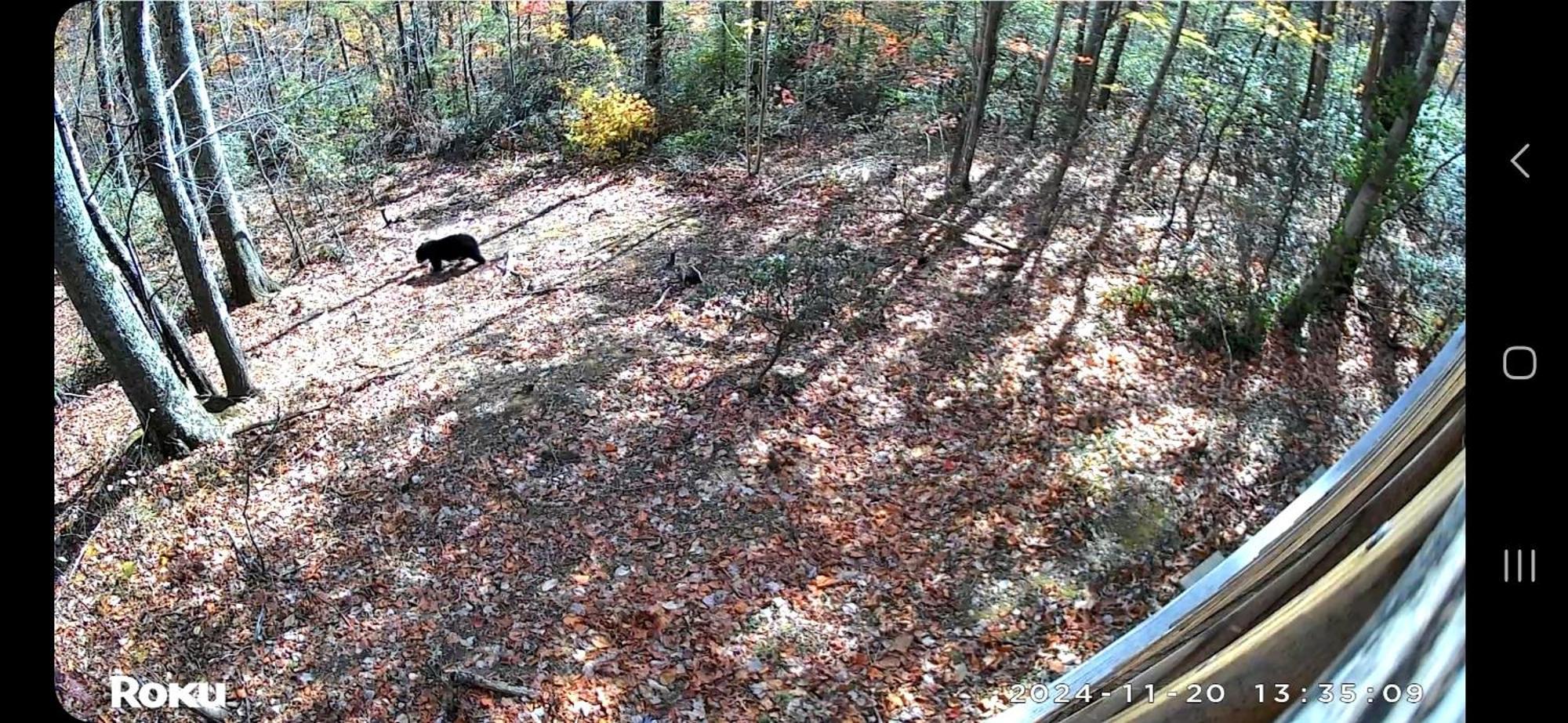 Southern Oak At Chalet Village - 5 Minutes From Gatlinburg And National Park ภายนอก รูปภาพ